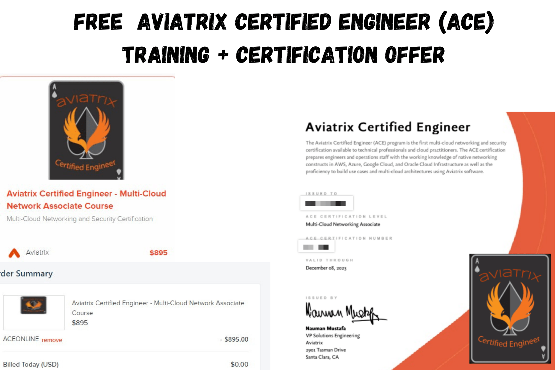 Free Aviatrix training and certification
