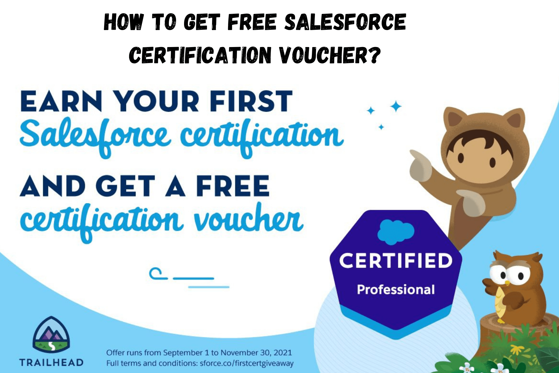 How to get Free Salesforce certification Voucher? CyberRubik