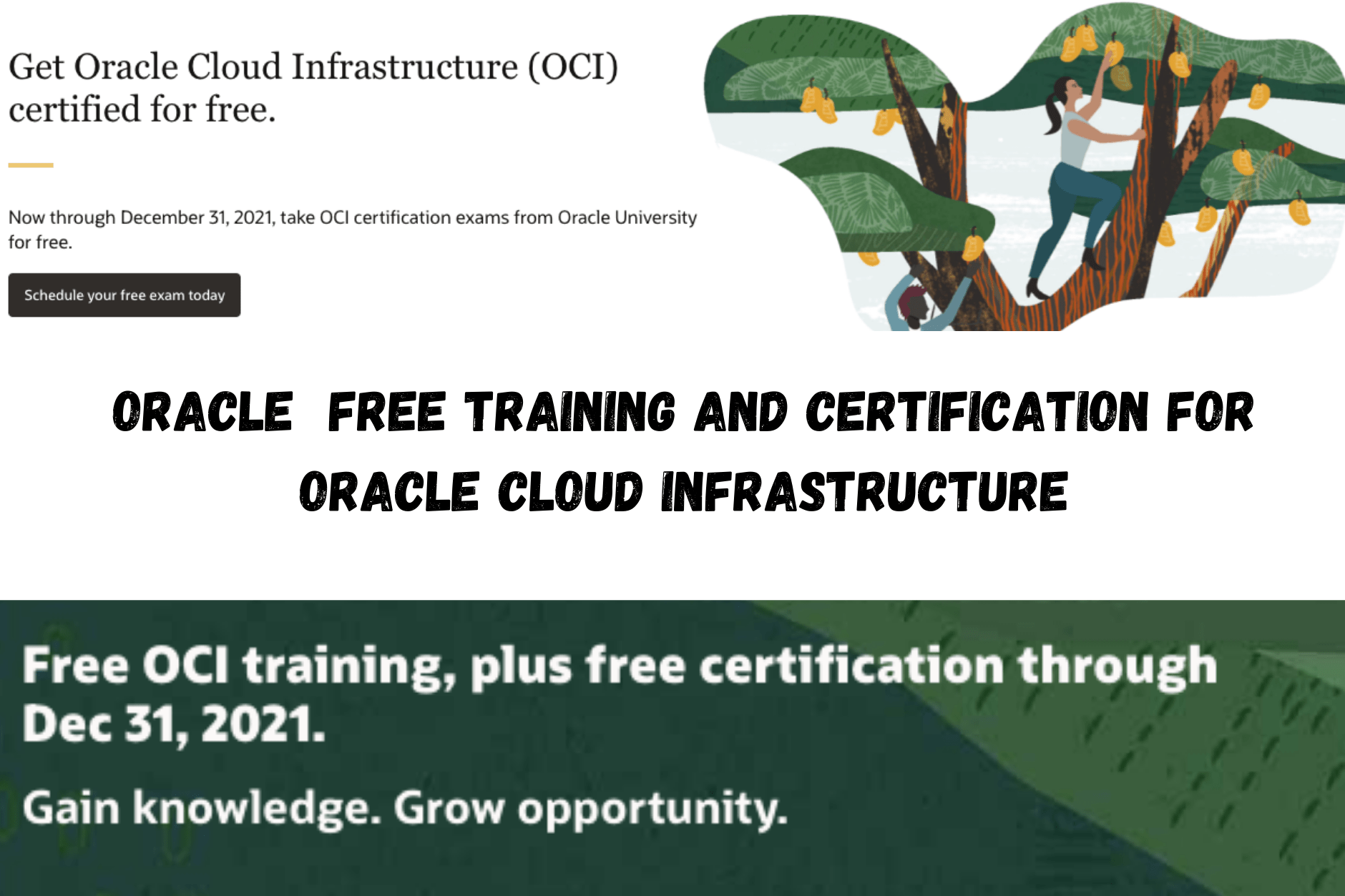 Oracle Free Training and Certification for Oracle Cloud Infrastructure